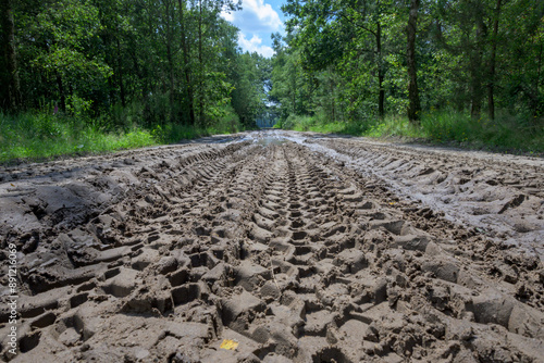 Landscape photo of tire tracks in the brown muddy sand, surrounded by trees and a blue sky.