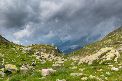 Alpine Serenity: Quiet Moment in Nature (Passo di Vizze, Italy)