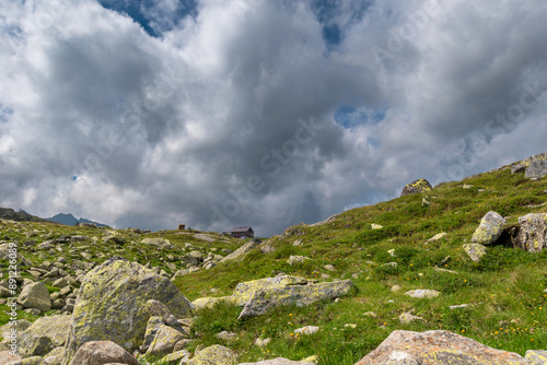 Alpine Serenity: Quiet Moment in Nature (Passo di Vizze, Italy) photo