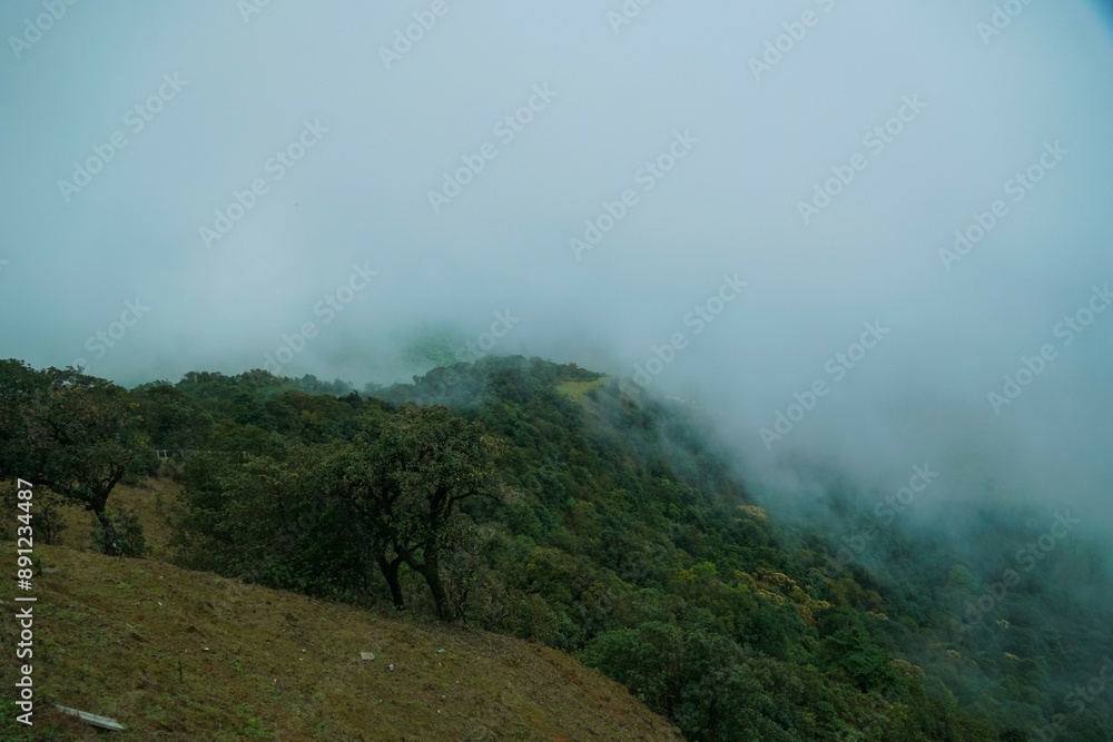 A foggy mountain top with trees and a hill A foggy mountain top with trees and a hill