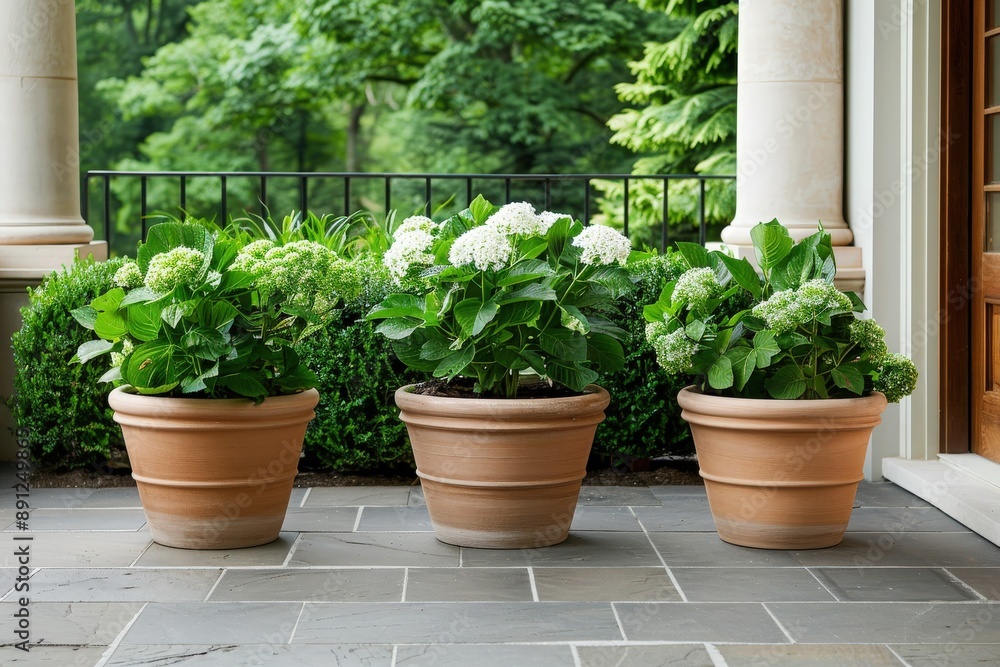 Three terracotta pots with lush green plants on a patio, surrounded by a green garden for home decoration and nature enhancement. Three terracotta pots with lush green plants on a patio, surrounded by a green garden for home decoration and nature enhancement.