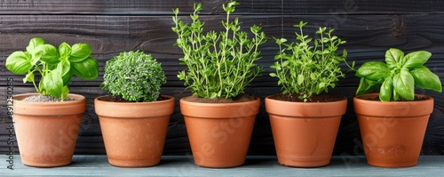 Five potted herbs in terracotta pots on a wooden shelf, perfect addition for a home garden or indoor greenery. © Kin no Hikari