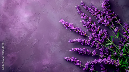 Sprigs of fresh lavender on a purple wall background.