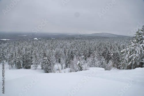 Winterwald