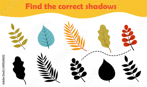 Find the correct shadow. Various autumn leaves, game theme autumn. Logic game for children. Vector illustration in flat style for childrens books and magazines