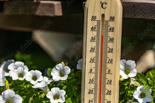 Photos A man holds a wooden thermometer in his hand in the garden which indicates a ver
