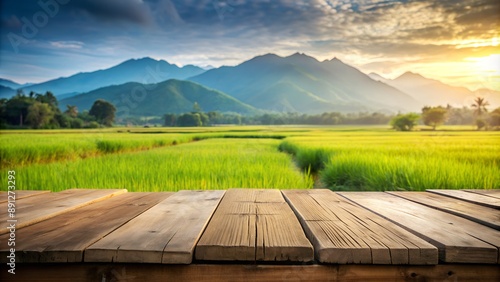 Empty wooden table top overlooking a beautiful green rice field at sunset