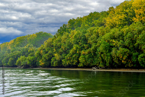 lake and forest