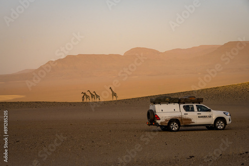 Giraffes in Purros, Namibia