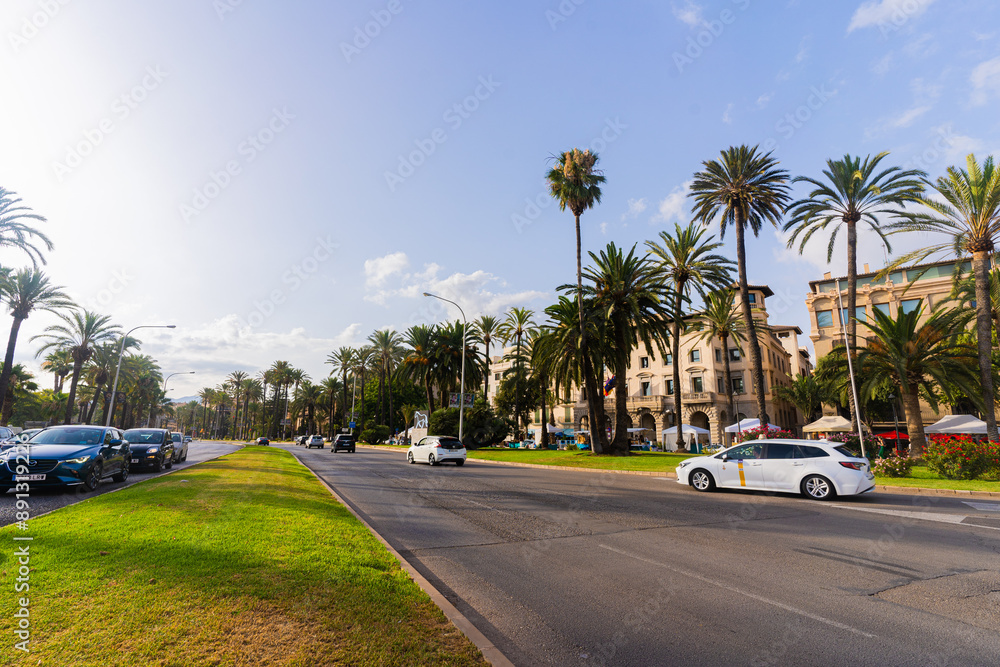 road in the city with palm trees and blue sky road in the city with palm trees and blue sky