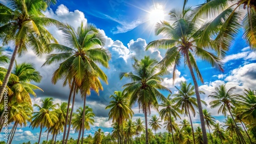 Wallpaper Mural Sun shining through palm trees on tropical island paradise Torontodigital.ca