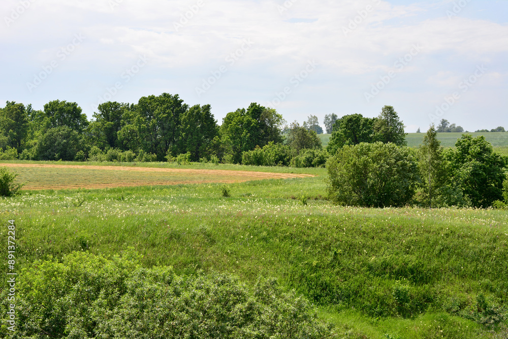 Obraz premium an agricultural field on the hill with trees in the background 