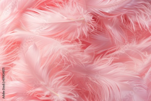 Delicate Pink Feathers: A Soft and Gentle Embrace