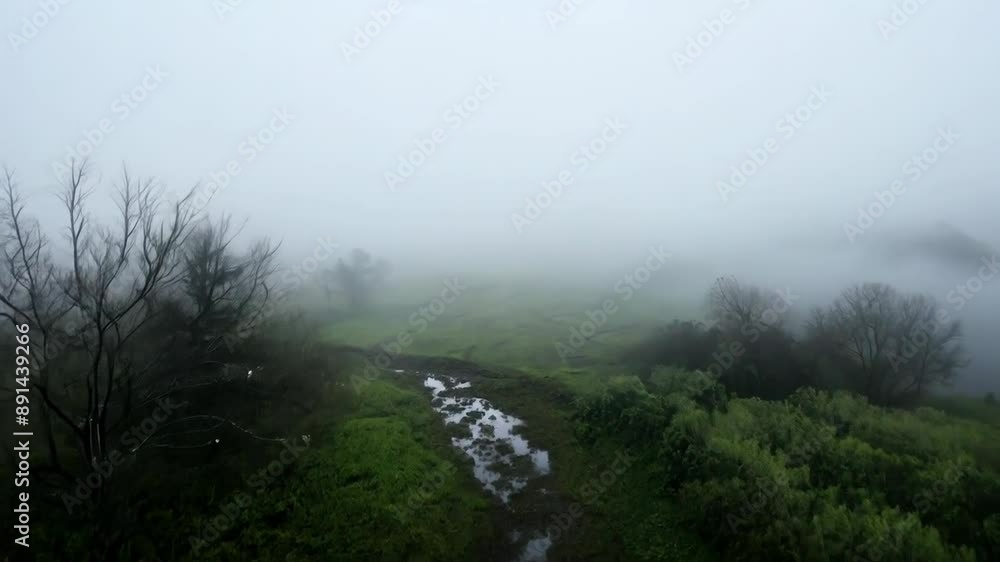 Misty morning landscape lush greenery meandering stream Misty morning landscape lush greenery meandering stream