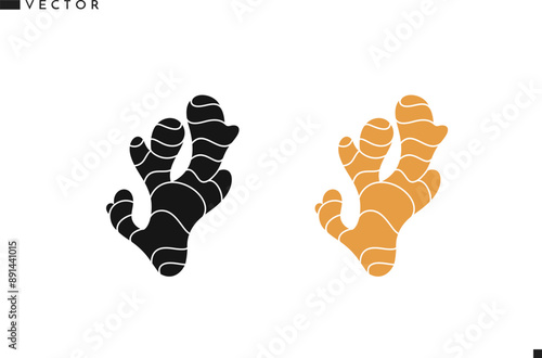 Ginger root vector. Natural food