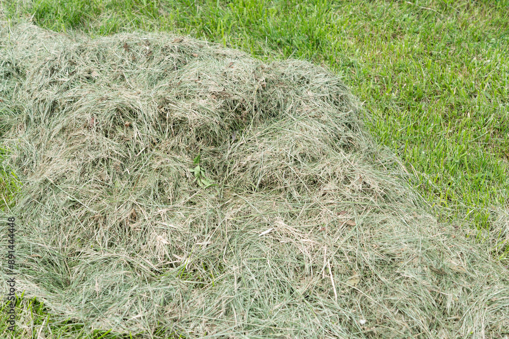 Obraz na plátně pile of cut dried grass