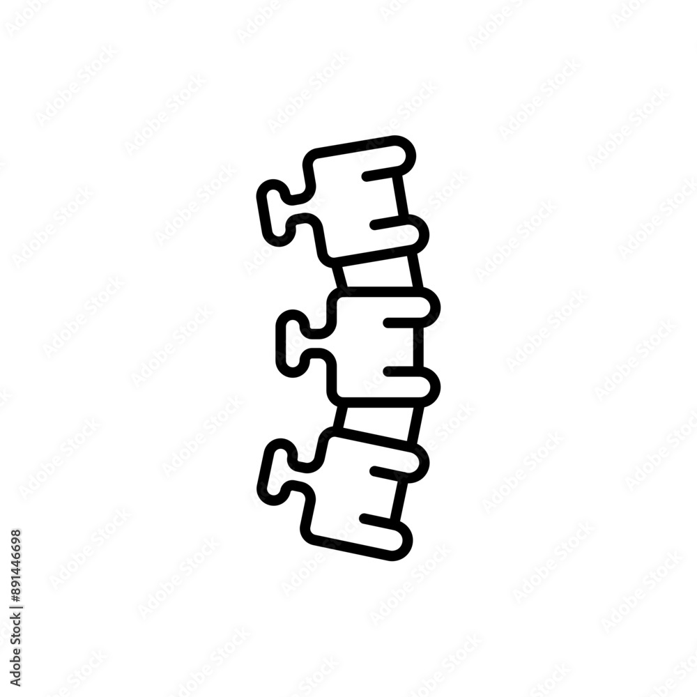 Spine outline icons, minimalist vector illustration ,simple transparent graphic element .Isolated on white background Spine outline icons, minimalist vector illustration ,simple transparent graphic element .Isolated on white background