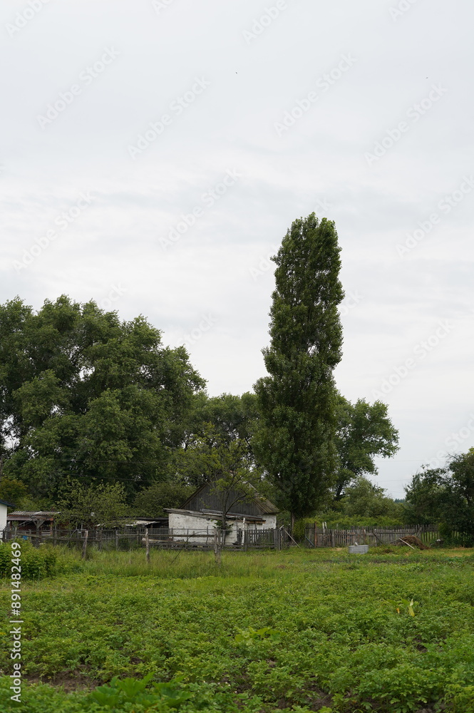 old house, Ukrainian house, village, rural landscape, traditional Ukrainian home, wooden house, thatched roof, old building, village house, Ukrainian architecture, rural yard, folk architecture, Ukrai old house, Ukrainian house, village, rural landscape, traditional Ukrainian home, wooden house, thatched roof, old building, village house, Ukrainian architecture, rural yard, folk architecture, Ukrai