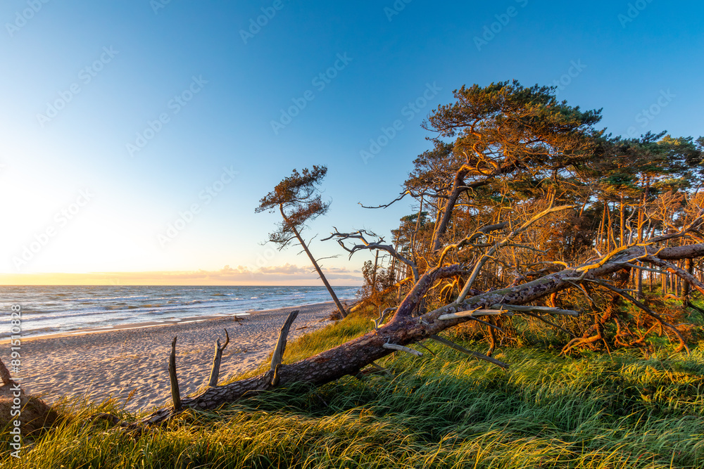 Zum Sonnenuntergang am Darsser Weststrand. Zum Sonnenuntergang am Darsser Weststrand.