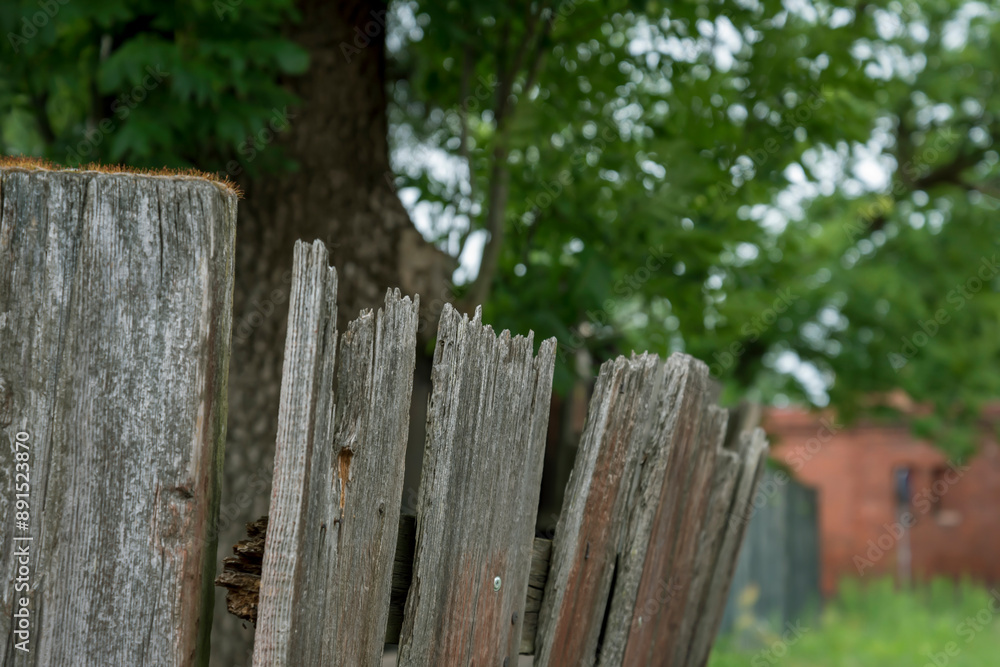 Wooden fence at the yard. Wooden fence at the yard.
