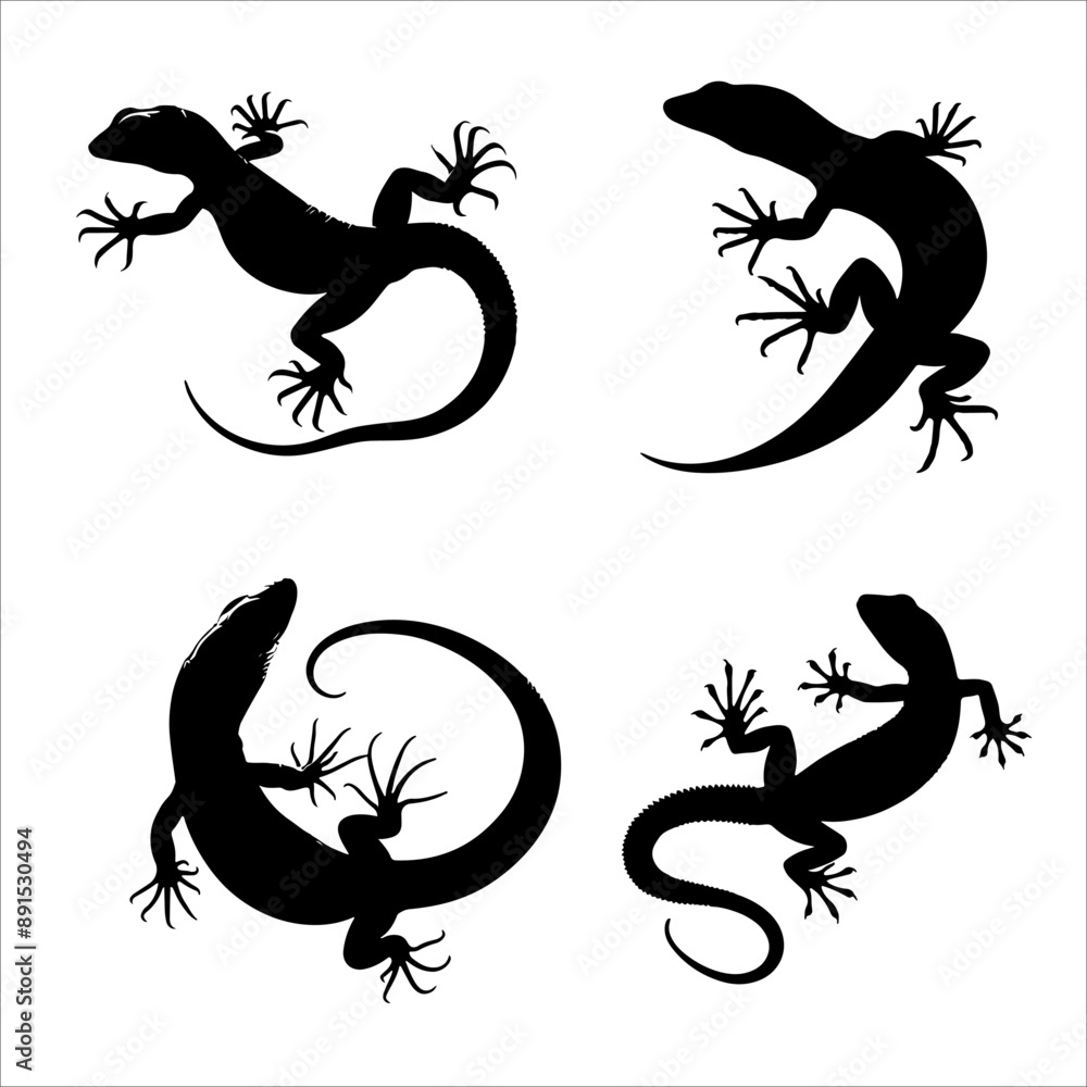 Fototapeta premium silhouettes of lizard set on clean vector 