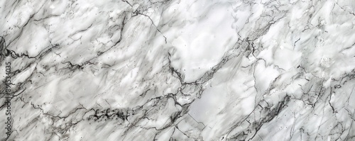 White marble texture with natural black veining patterns photo