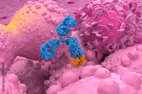 Monoclonal antibody treatment in Breast cancer - closeup view 3d illustration photo