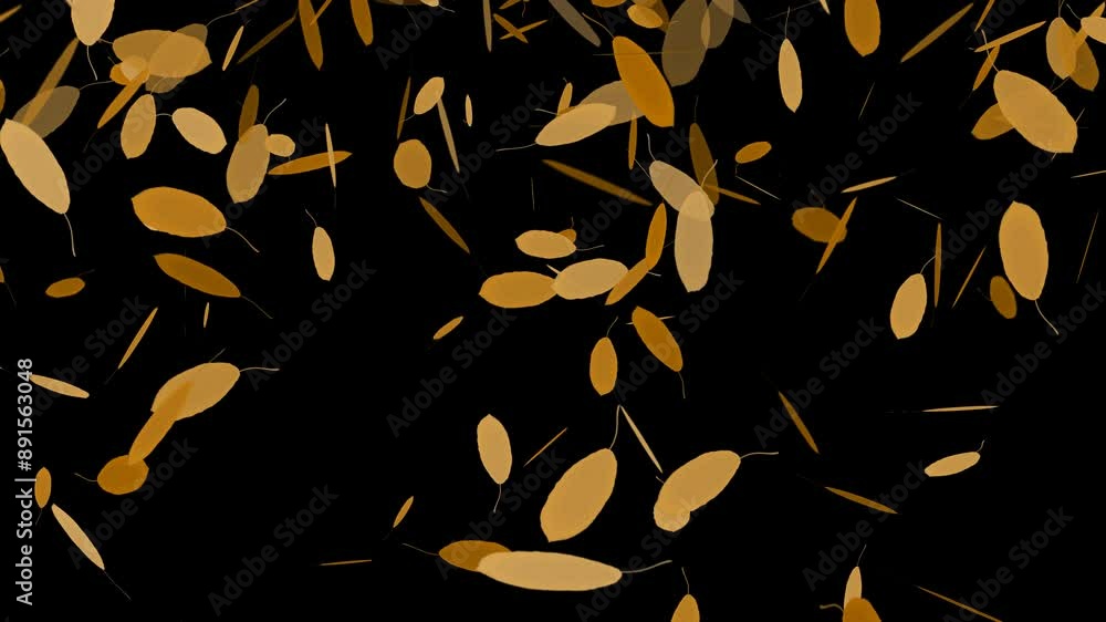 Leaf Fall. Animation with Alpha Channel. 4K video. Walnut Leaves. Autumn Leaves Falling Swirling. Dance Yellow Autumn Leaves on Transparent Background. Moving background Leaf Fall. Animation with Alpha Channel. 4K video. Walnut Leaves. Autumn Leaves Falling Swirling. Dance Yellow Autumn Leaves on Transparent Background. Moving background