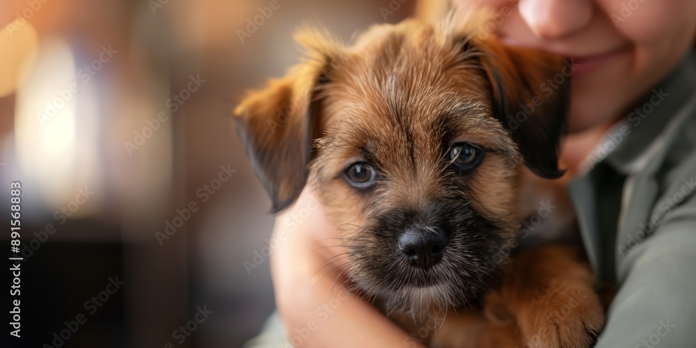 A man hugs his adorable puppy, showing love and care in an outdoor environment filled with natural beauty. A man hugs his adorable puppy, showing love and care in an outdoor environment filled with natural beauty.