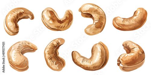 Set collection of roasted cashew nuts and halves hand drawn watercolor design resources elements