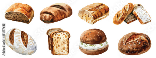 Set collection of sliced sourdough bread loaf homemade bakery hand drawn watercolor design resources elements