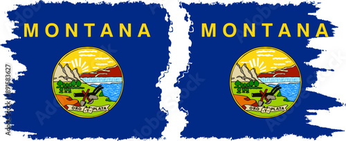 Montana and Montana states grunge brush flags connection, vector photo