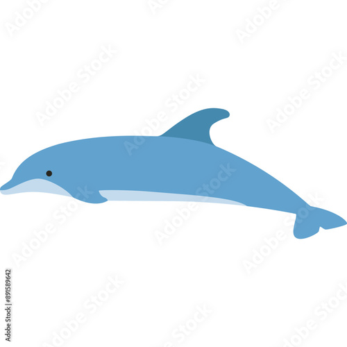 Cute Dolphin Illustration