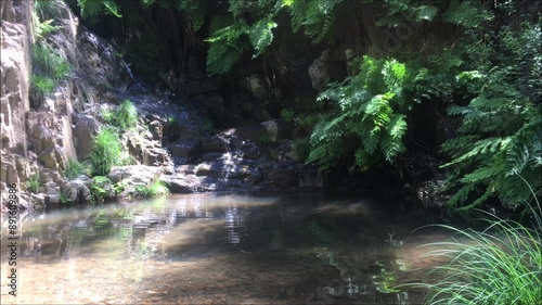 Pequeno rio de montanha com uma pequena lagoa, zona fresca rodeada de vegetação, Rio Mau, Penafiel, Porto, Portugal