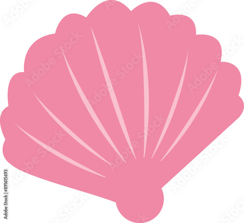 Sea ​​shells