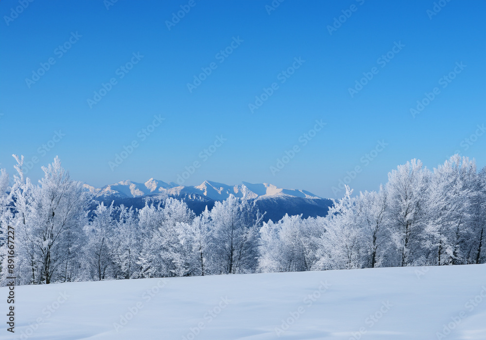 Snowy landscape: snow-covered scenery.