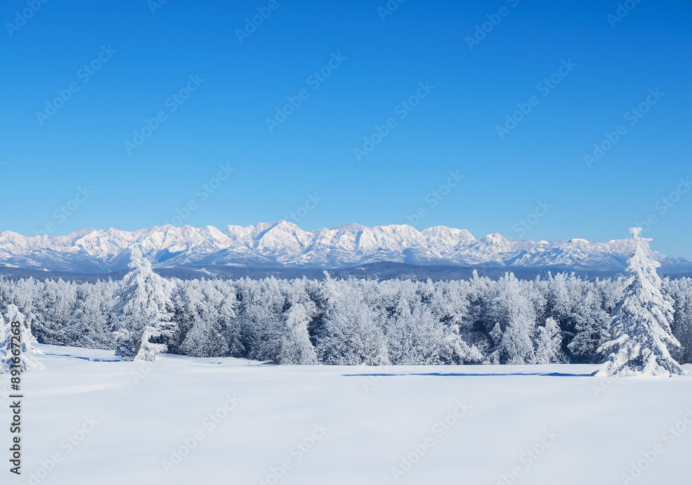 Obraz premium Snowy landscape: winter wonderland.