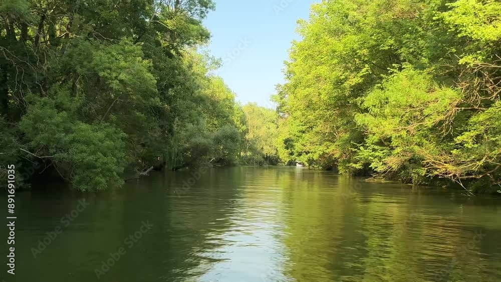 River Kamchia Bulgaria summer green forest boat trip River Kamchia Bulgaria summer green forest boat trip
