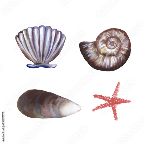 Set_seashell.eps
