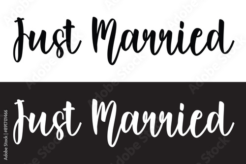 Just Married hand lettering phrase. Vector brush calligraphy text design isolated on white background.  Modern handmade calligraphy. Hand drawn lettering element for your design in eps 10.