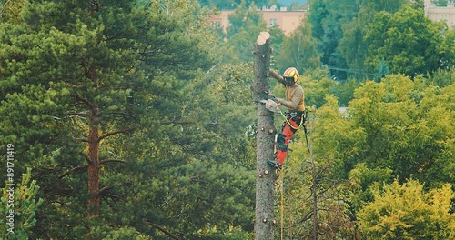 Worker cuts down a tree, a man cuts trees with electric chainsaw, Lumberjack to cut branches while cutting down the tree, wood, A man saws a sawmill with a chainsaw at a height with insurance.	
