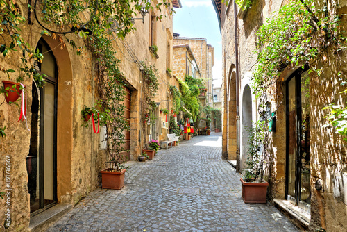 Quaint street lined with plants outside historic buildings in the medieval old town of Orvieto, Umbria, Italy