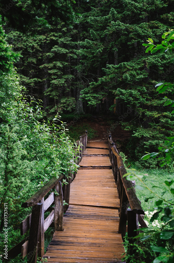 Wooden Bridge into an Alpine Forest and Trees at Black Lake, Durmitor, Montenegro - Balkans Landscape Wooden Bridge into an Alpine Forest and Trees at Black Lake, Durmitor, Montenegro - Balkans Landscape