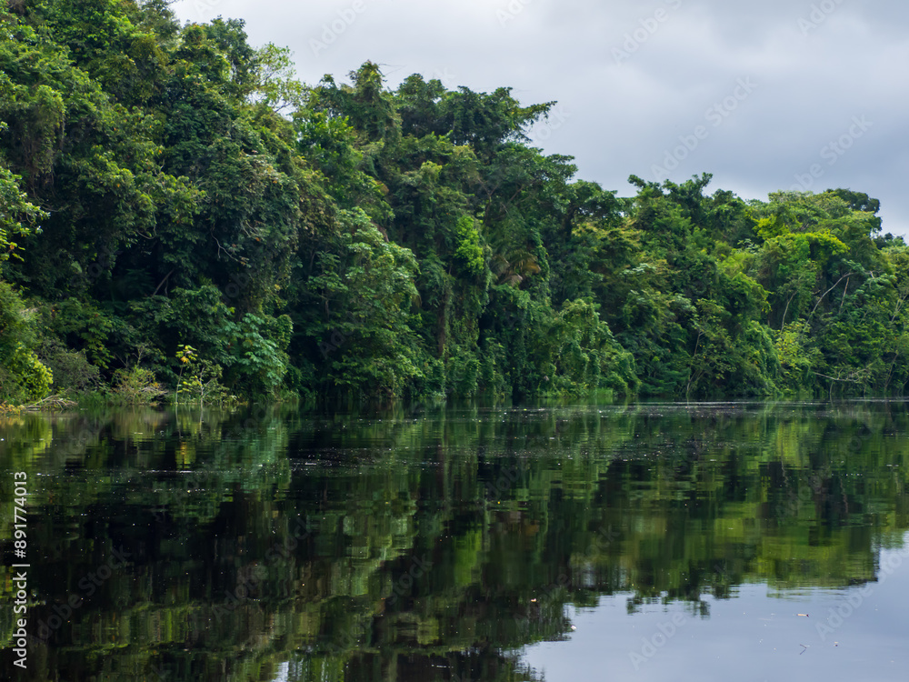 Amazonia Amazonia