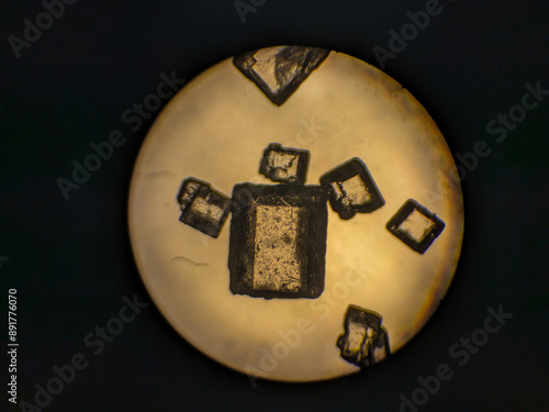 Photos Sugar Crystals Geometric Structure Examined Under Microscope Panel