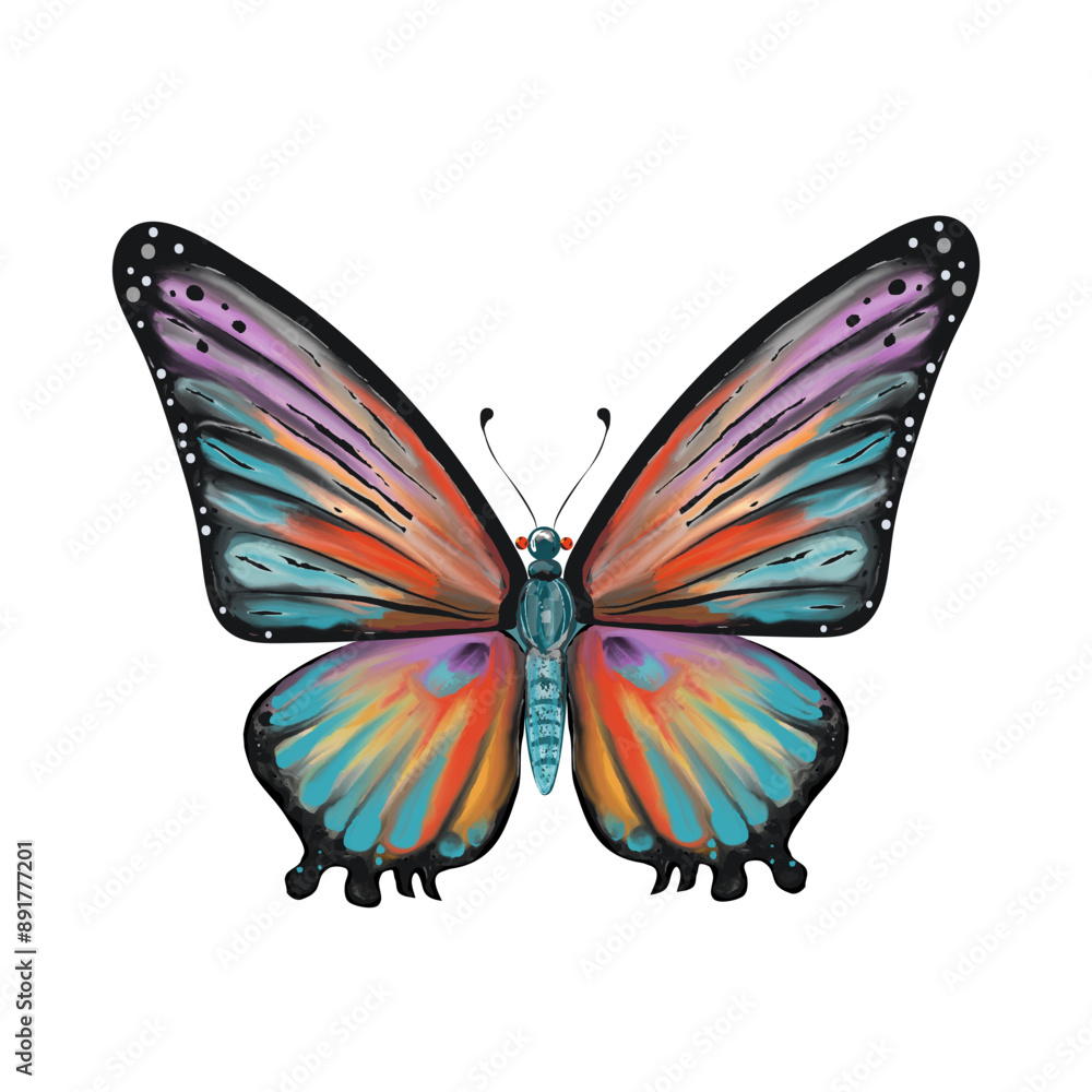 Colored butterfly on isolated background Colored butterfly on isolated background