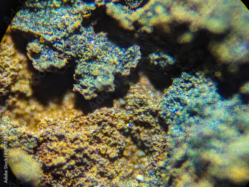 Microscopic View of Metallic Corrosion Patterns