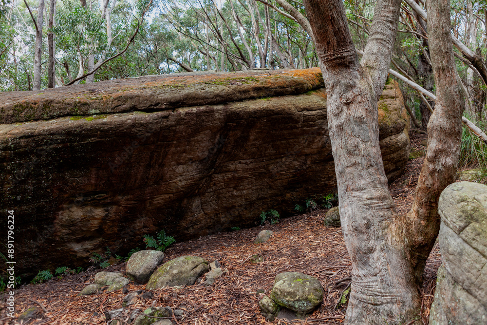 The Castle Walking Track, Budawang National Park, New South Wales, Australia The Castle Walking Track, Budawang National Park, New South Wales, Australia