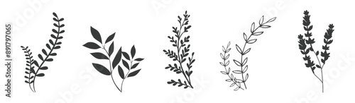 A group of dark branches.