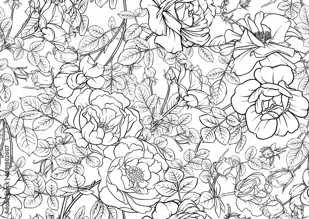 Fototapeta premium Rose flowers, Seamless pattern, background. Vector illustration. Outline hand drawing.